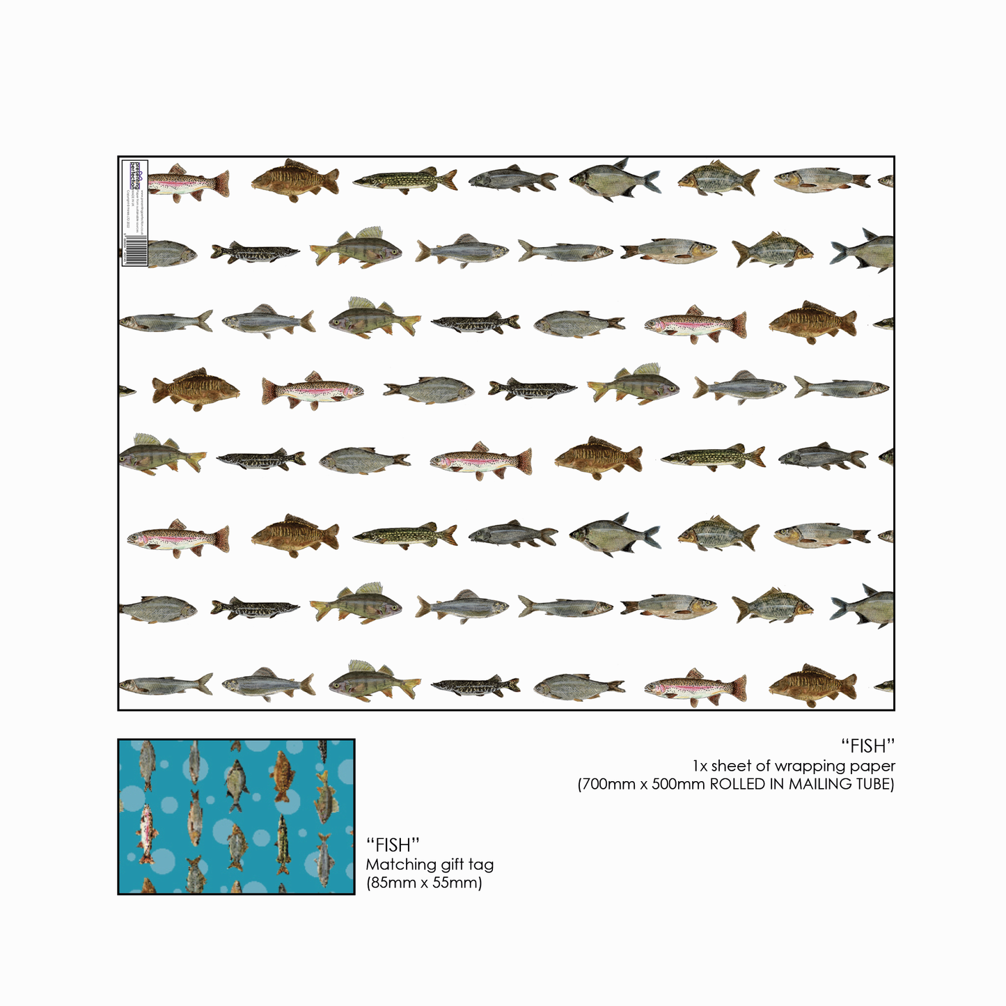 Hand Painted Freshwater Fish Gift Wrap and Matching Gift Tag - Rolled
