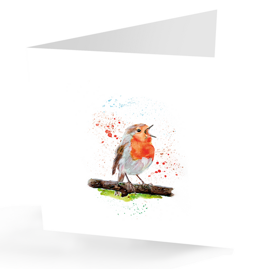 Robin Greetings Card, All occasion.