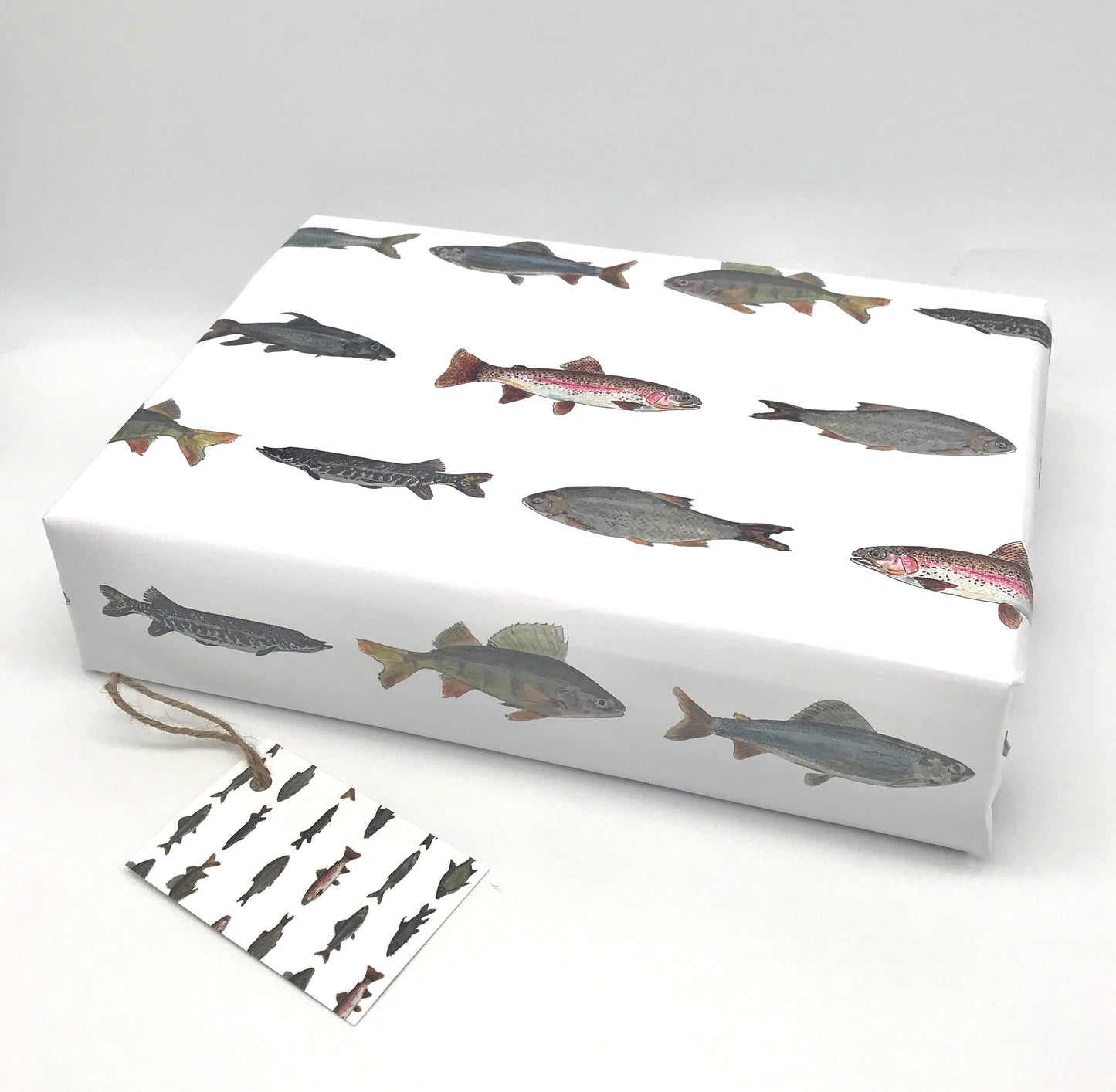 Hand Painted Freshwater Fish Gift Wrap and Matching Gift Tag - Rolled