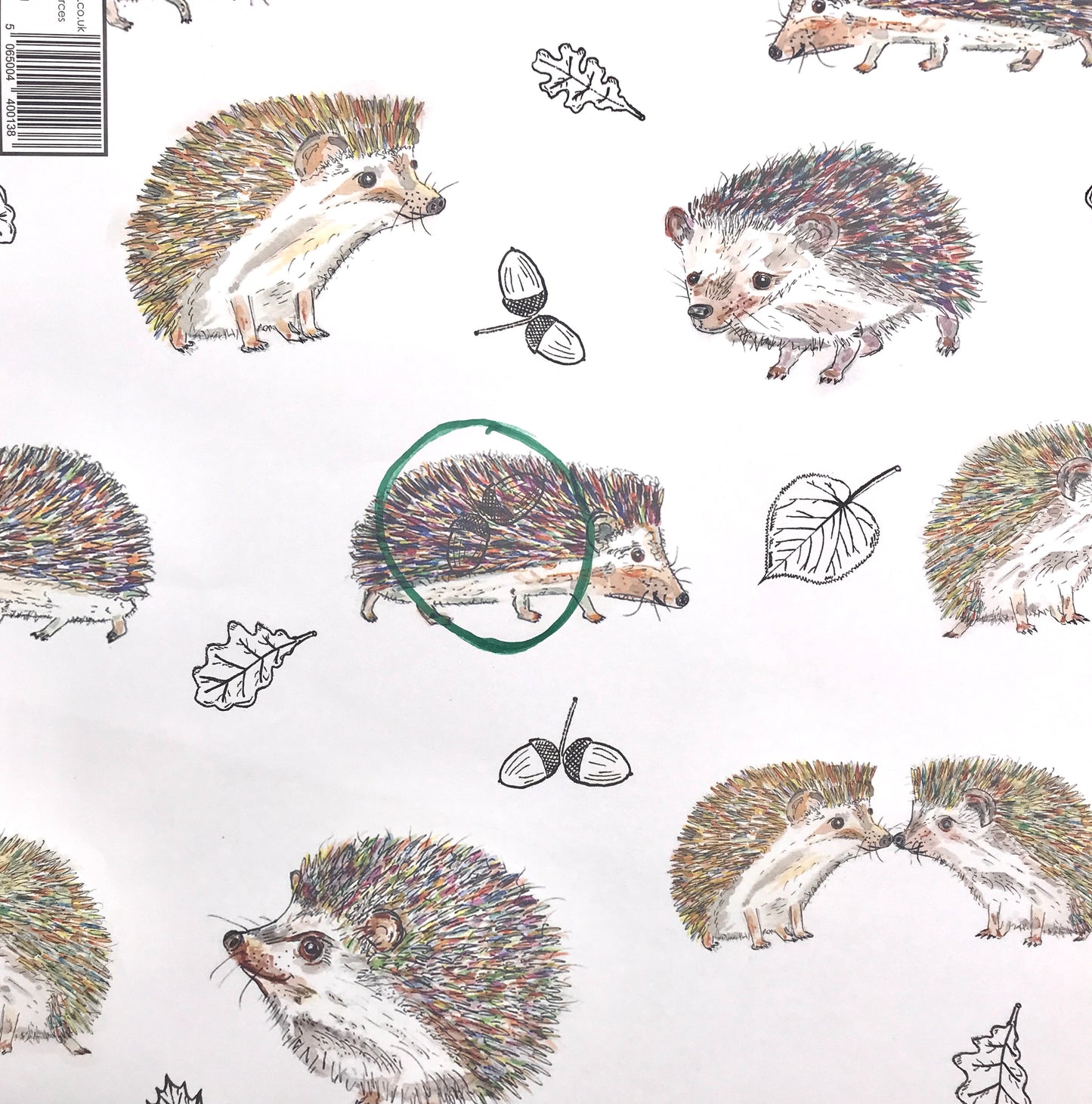 Hedgehog Design Wrapping Paper and Gift Tag (Small print error)