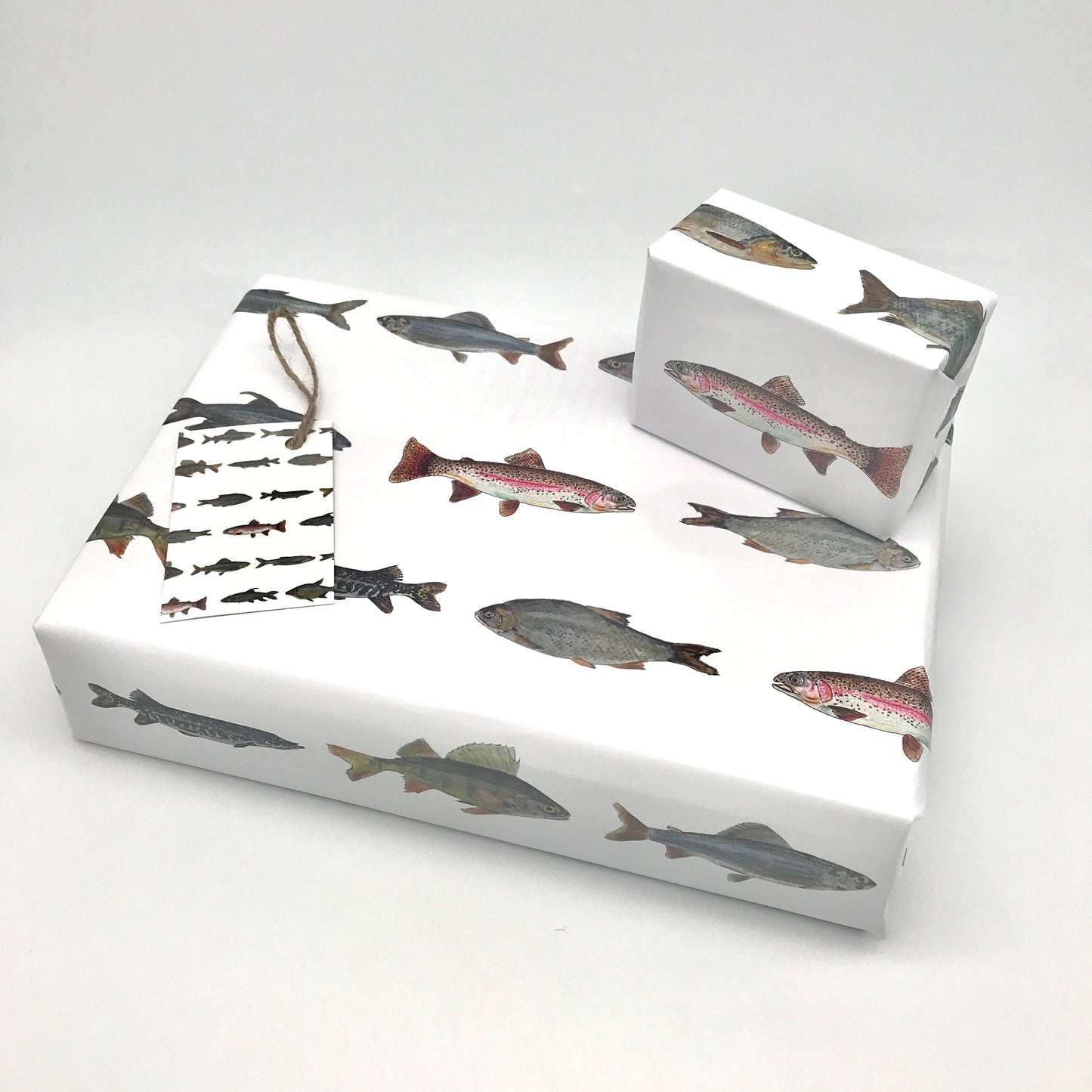 Hand Painted Freshwater Fish Gift Wrap and Matching Gift Tag - Rolled