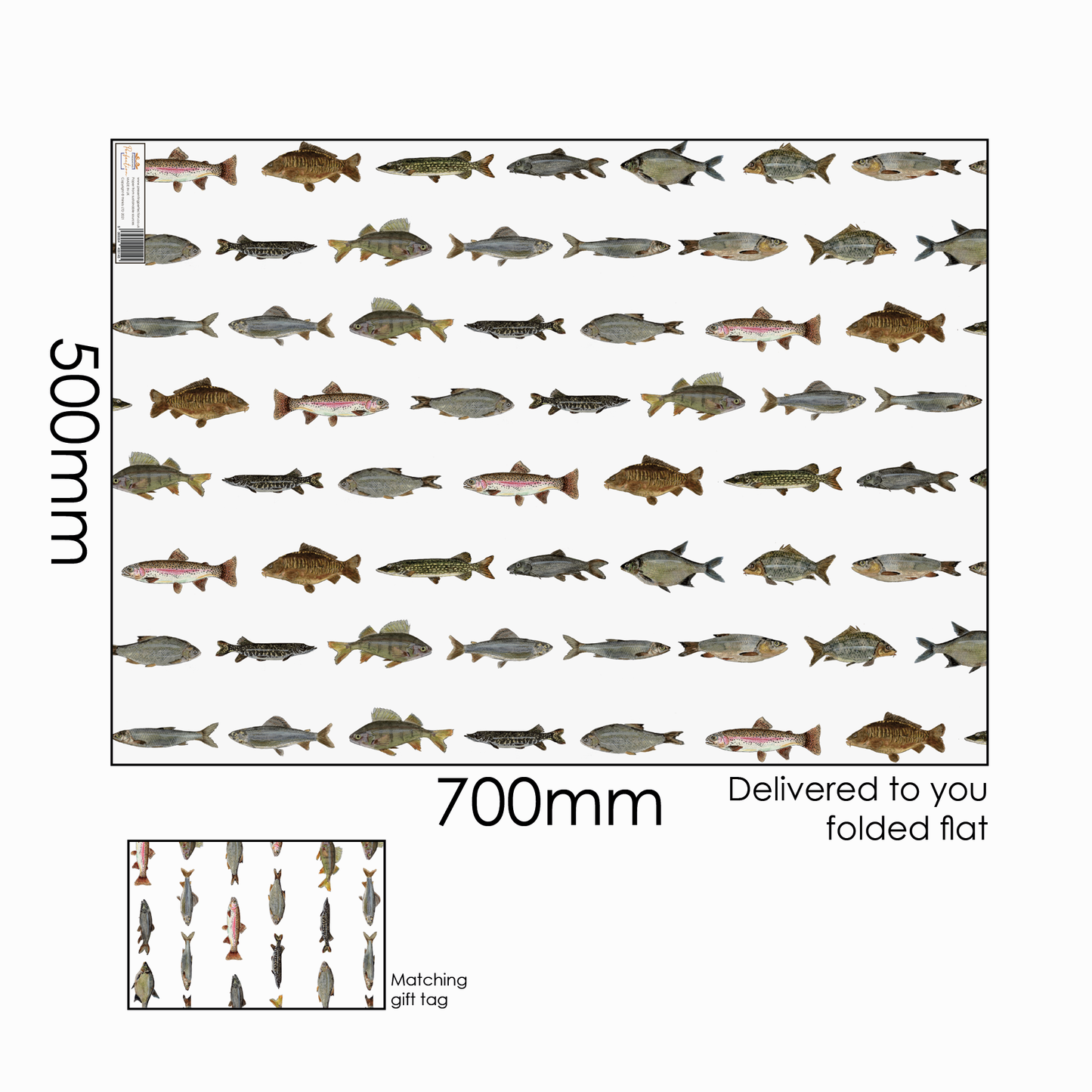 British Freshwater Fish Wrapping Paper and Matching Fish Gift Tag