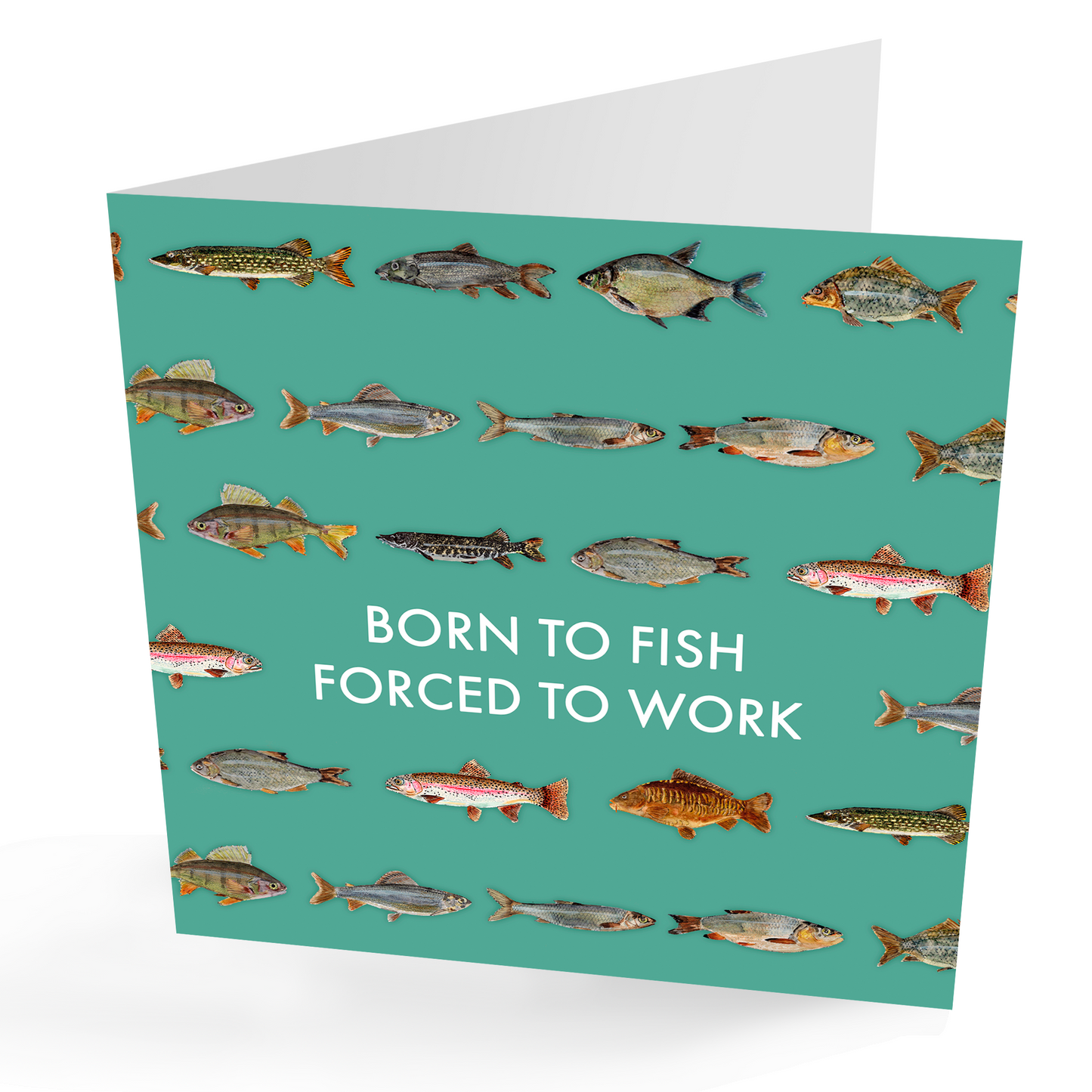 'Born To Fish' Fun Anglers Greeting Card