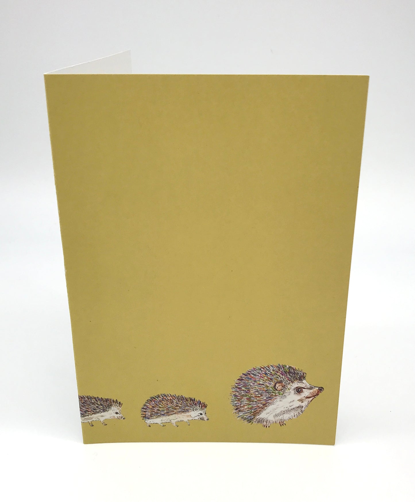 Hedgehog 12 x Greeting Card Eco Gift Set.