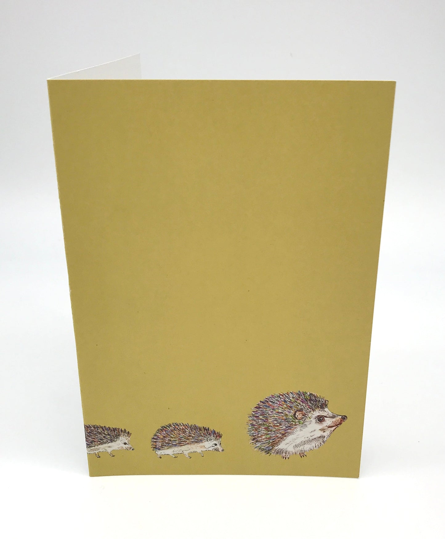 Hedgehog 12 x Greeting Card Eco Gift Set plus wrap