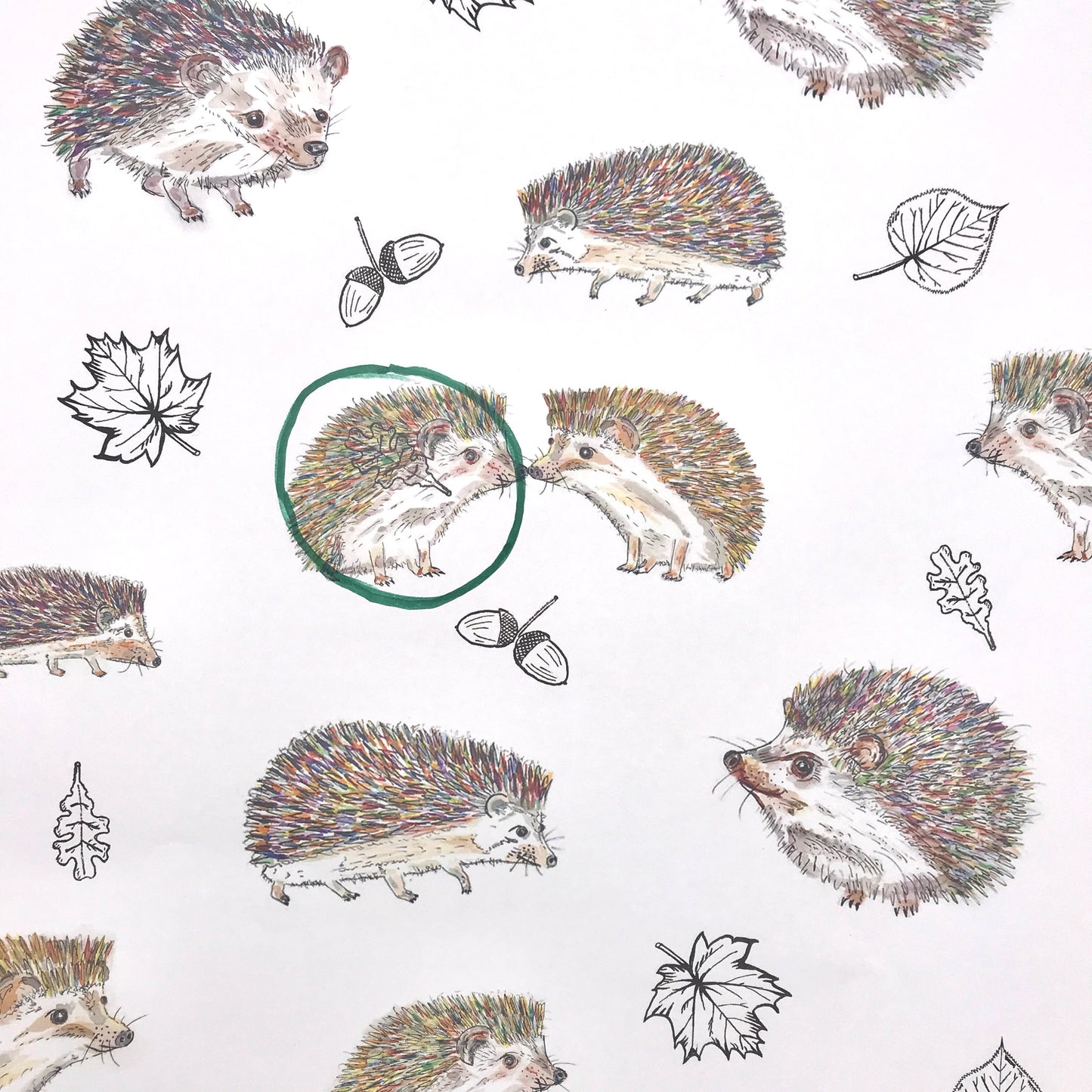 Hedgehog Design Wrapping Paper and Gift Tag (Small print error) - Rolled