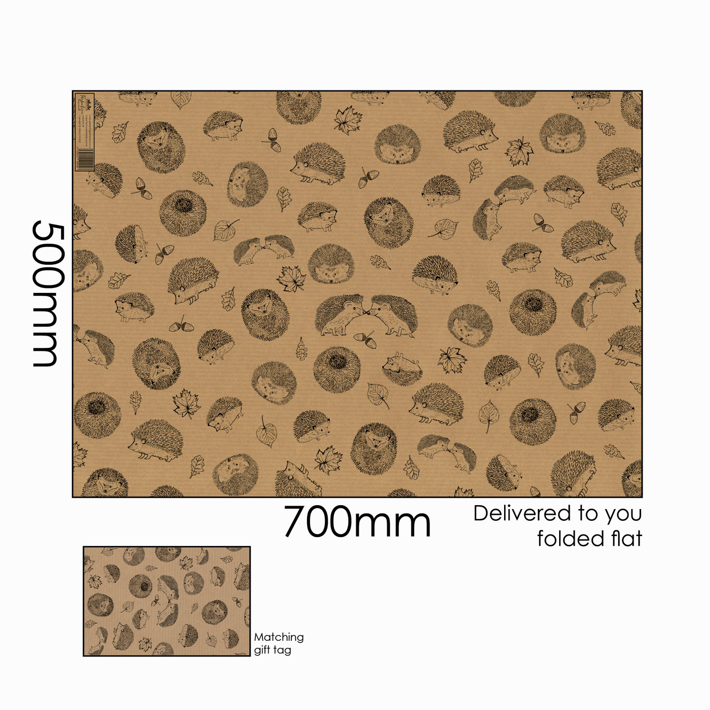 Hedgehog 12 x Greeting Card Eco Gift Set plus wrap