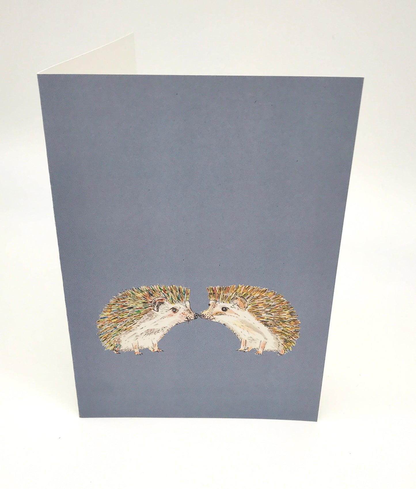 Hedgehog 12 x Greeting Card Eco Gift Set plus wrap