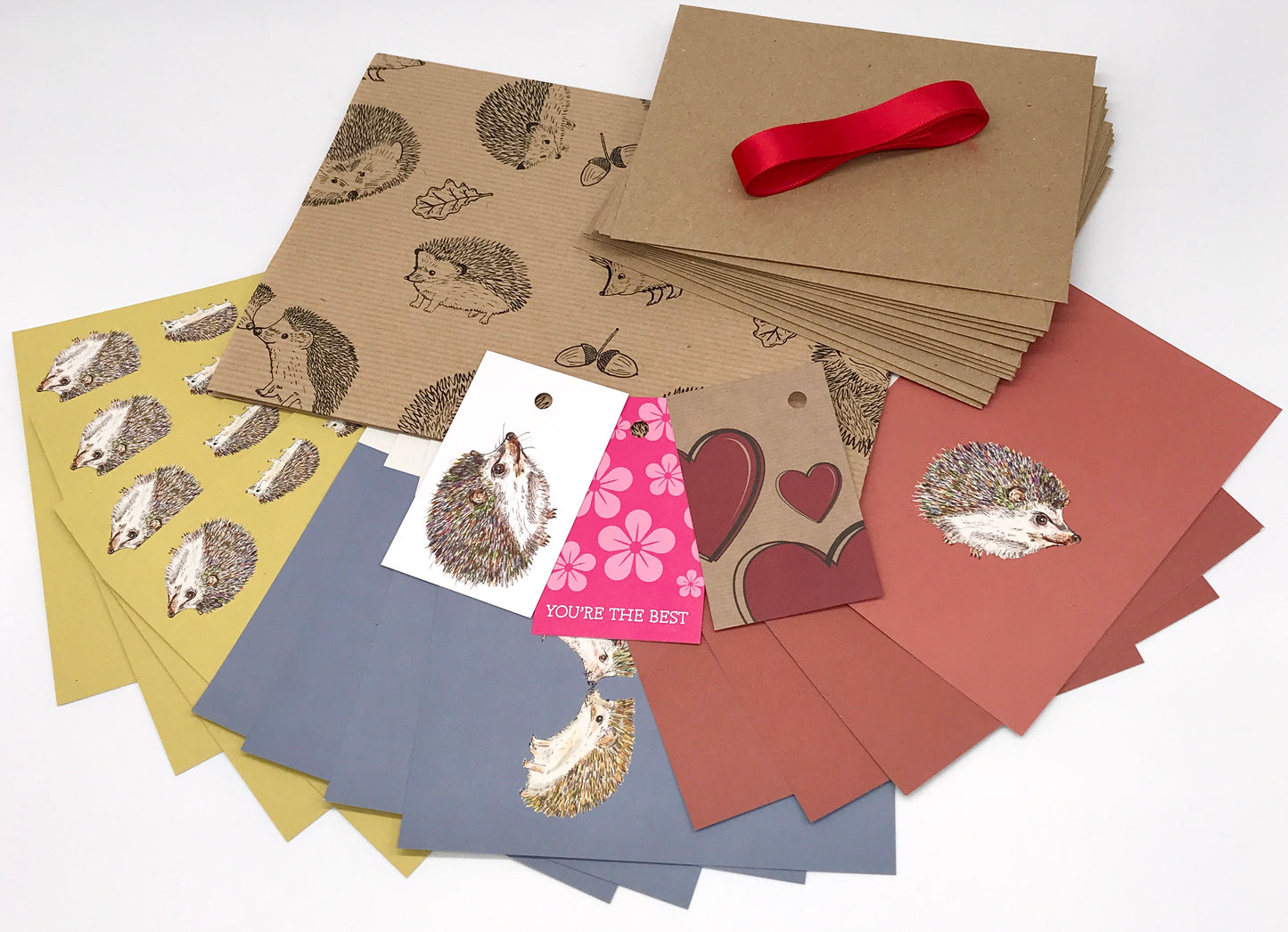 Hedgehog 12 x Greeting Card Eco Gift Set plus wrap