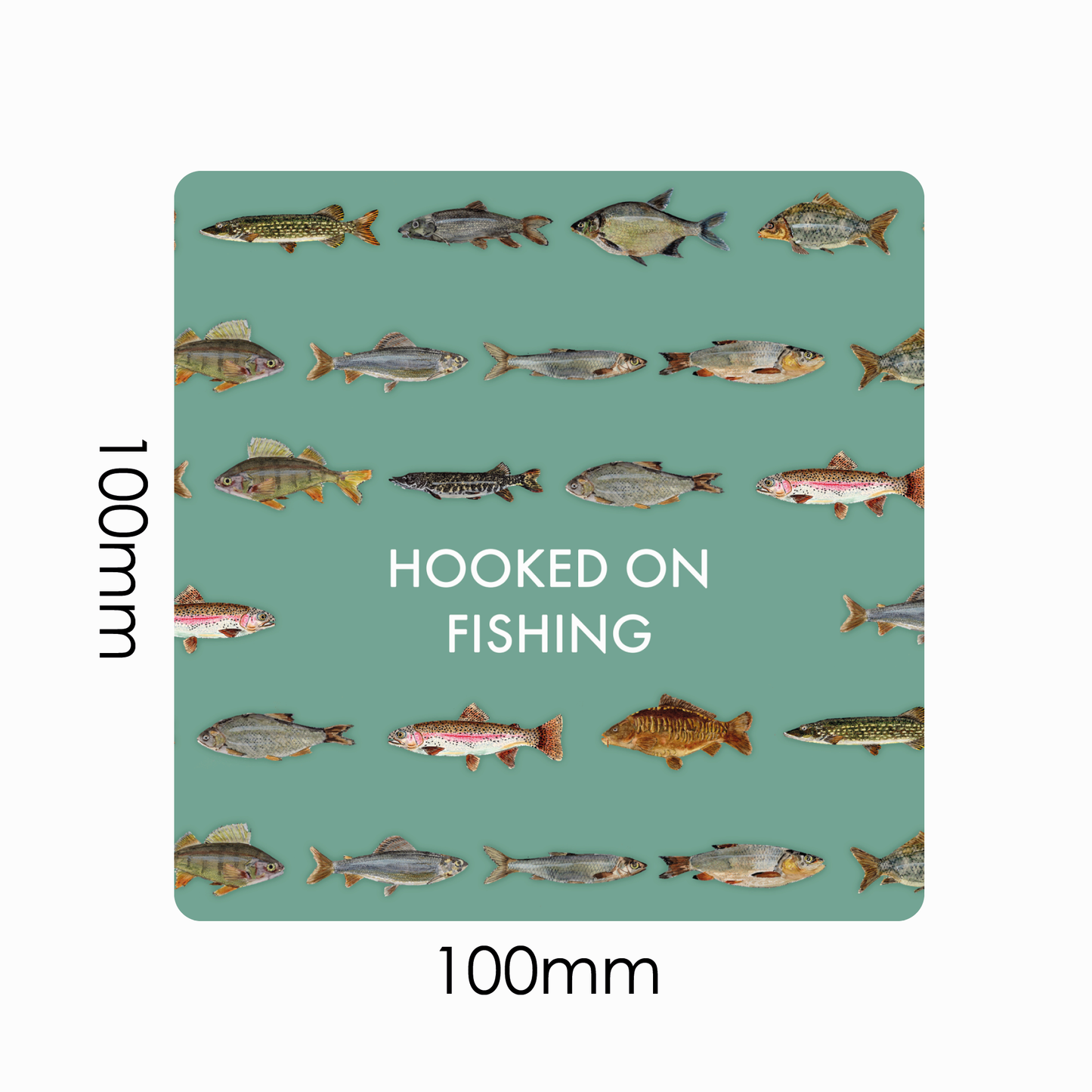 Set of 4 cheeky Fishing Coasters