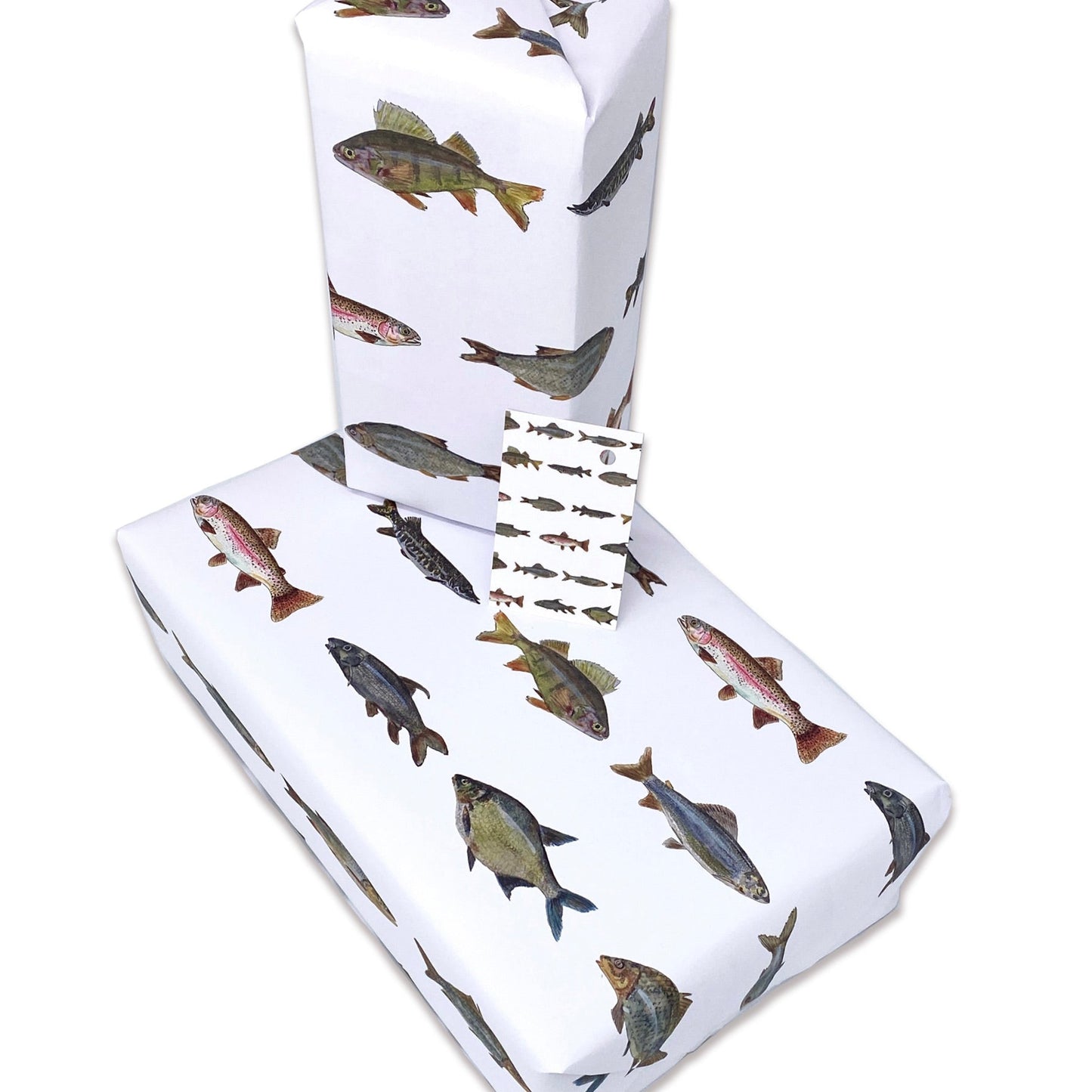Hand Painted Freshwater Fish Gift Wrap and Matching Gift Tag - Rolled