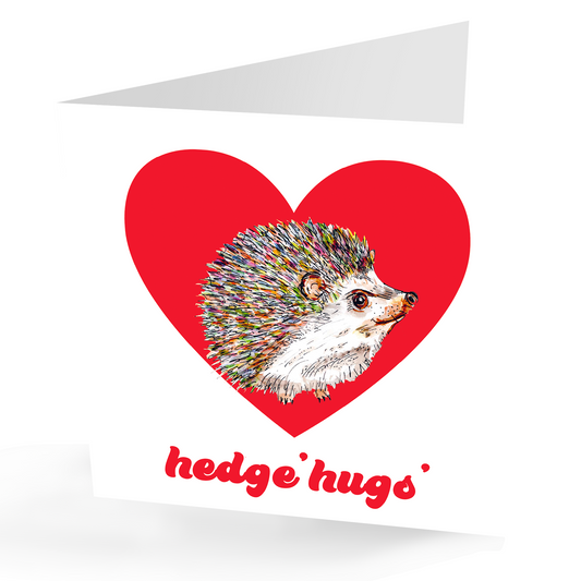 Cute Hedgehog Hedge 'Hugs' Card