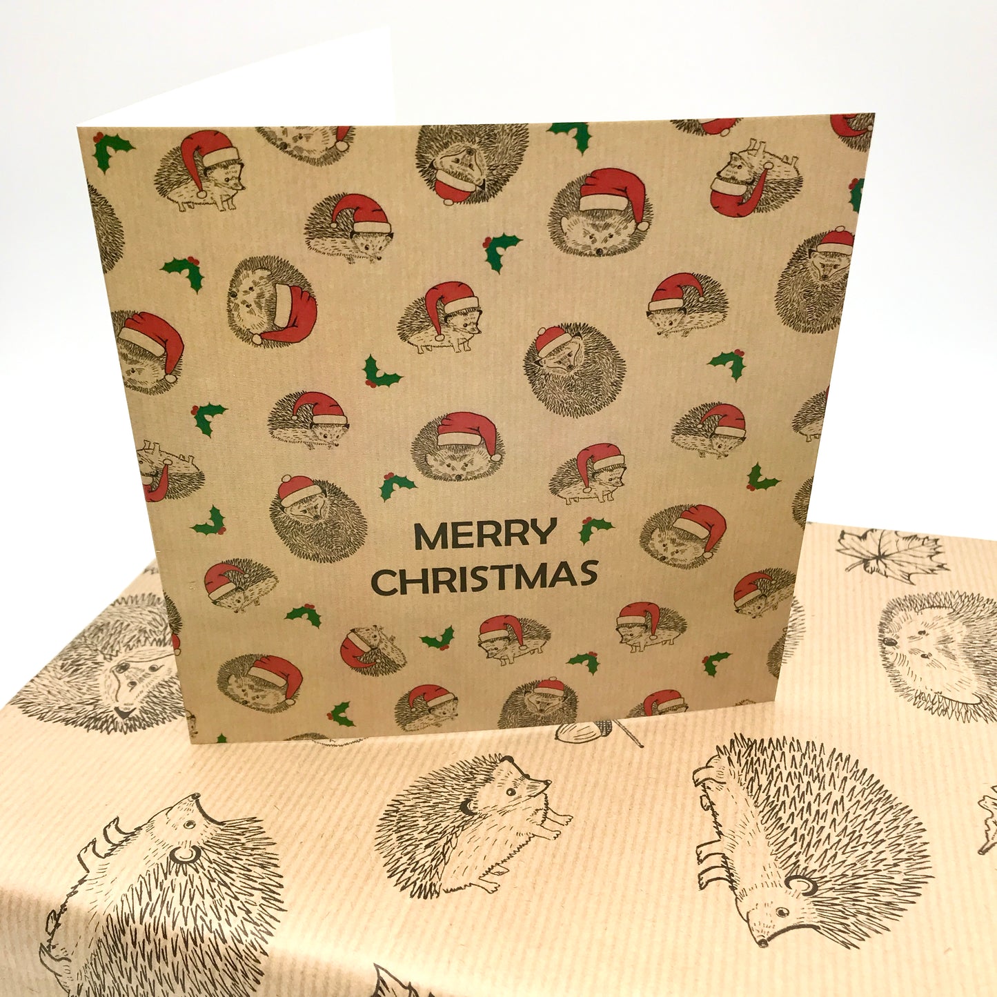 Cute Hedgehog Christmas Card.