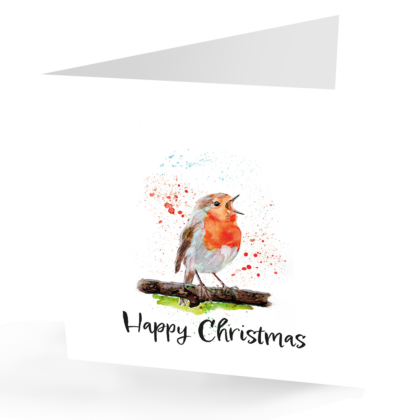 Robins Christmas Gift Wrap and Gift Tag