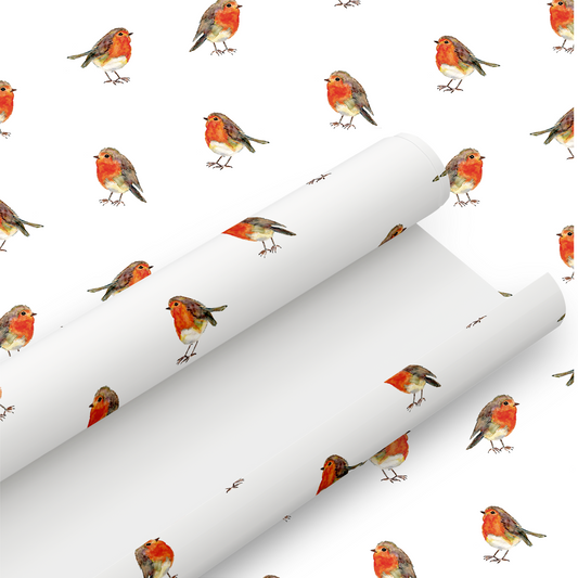 Cute Robin Christmas wrap & Tag - Rolled