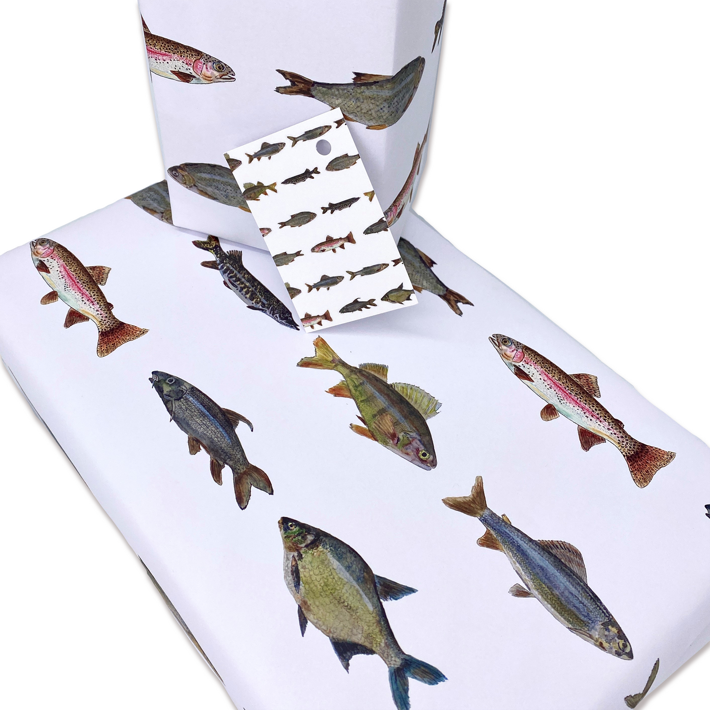 British Freshwater Fish Wrapping Paper and Matching Fish Gift Tag
