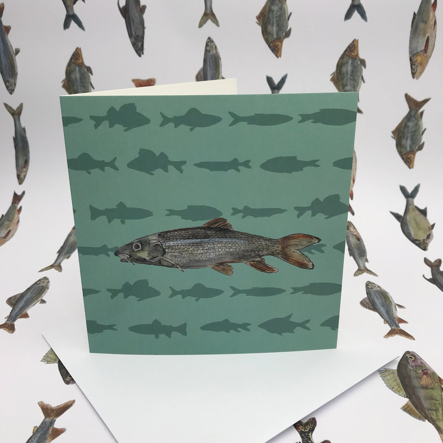 Barbel Any Occasion Fishing Card