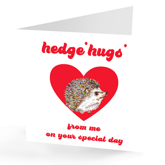 Any Occasion Cute Hedge 'Hugs' Card