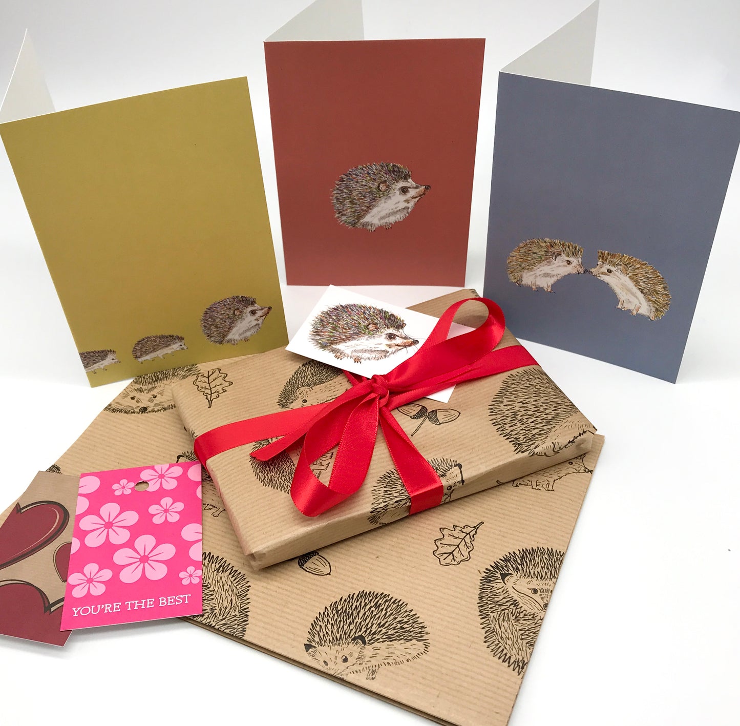 Hedgehog 12 x Greeting Card Eco Gift Set plus wrap