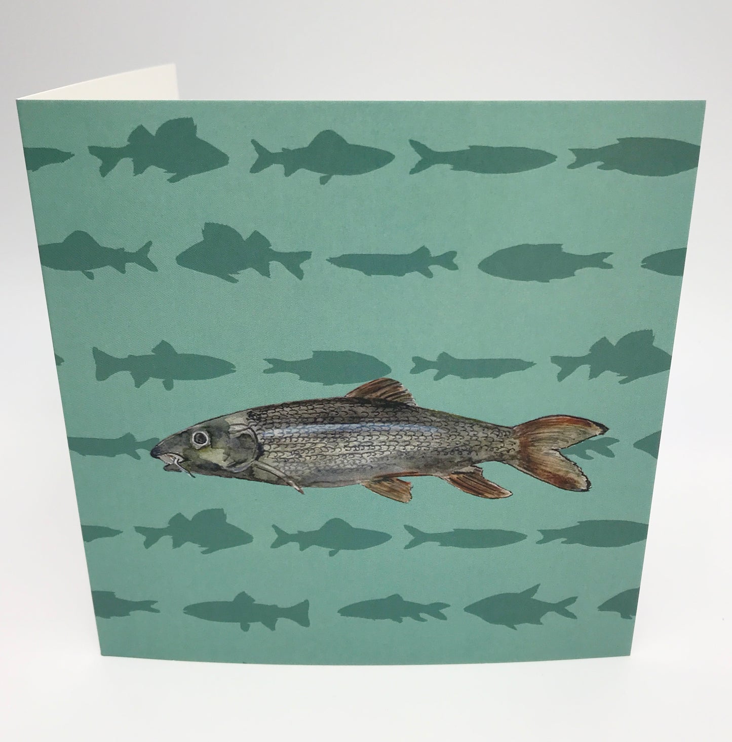 Barbel Any Occasion Fishing Card