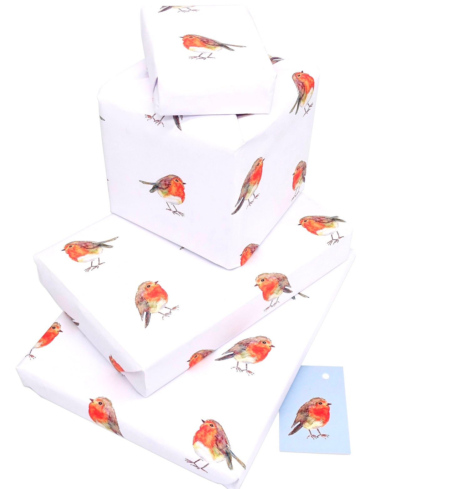 Robins Christmas Gift Wrap and Gift Tag