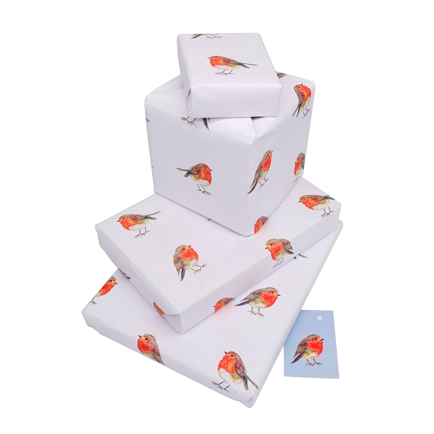 Cute Robin Christmas wrap & Tag - Rolled