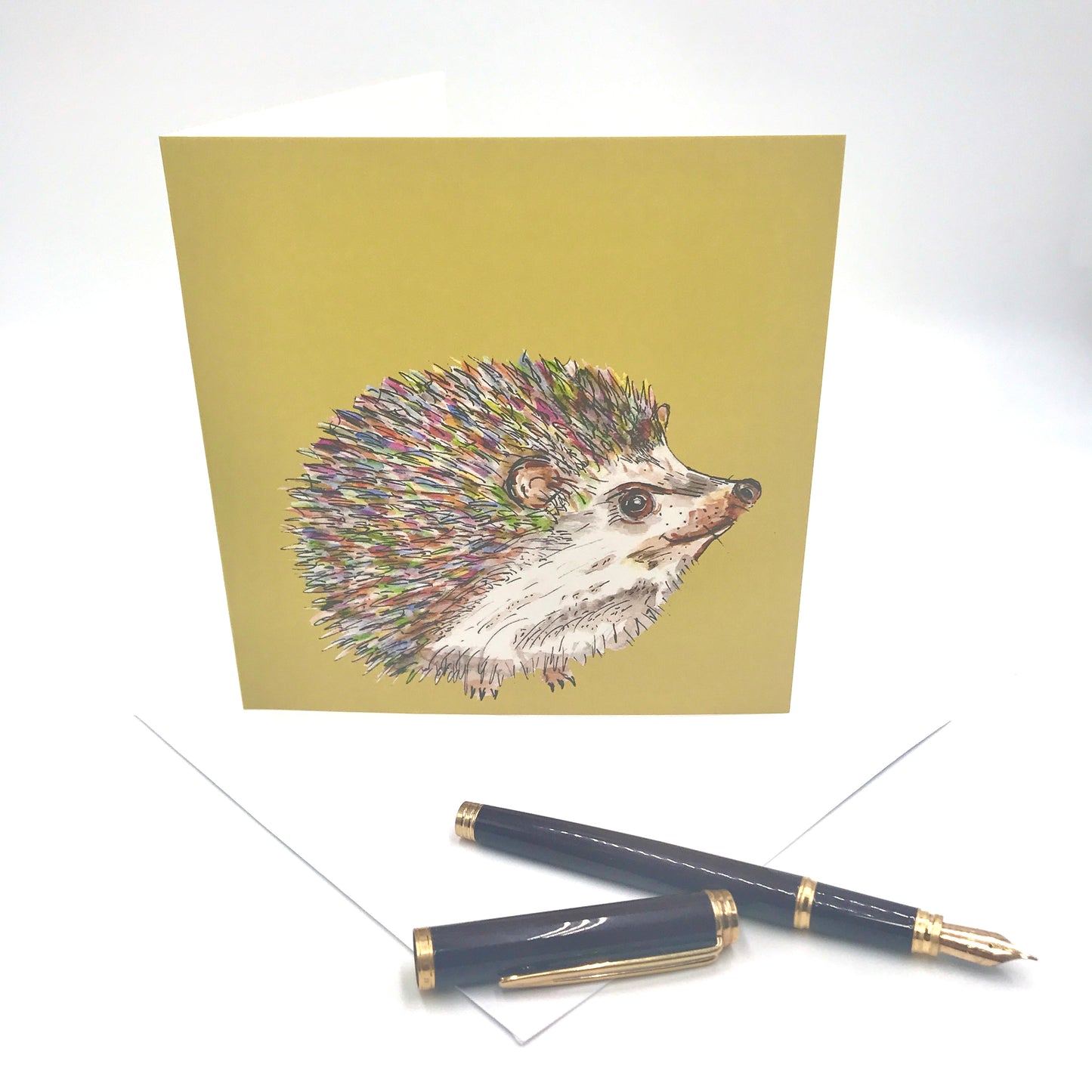 Any Occasion Cute Hedgehog Card
