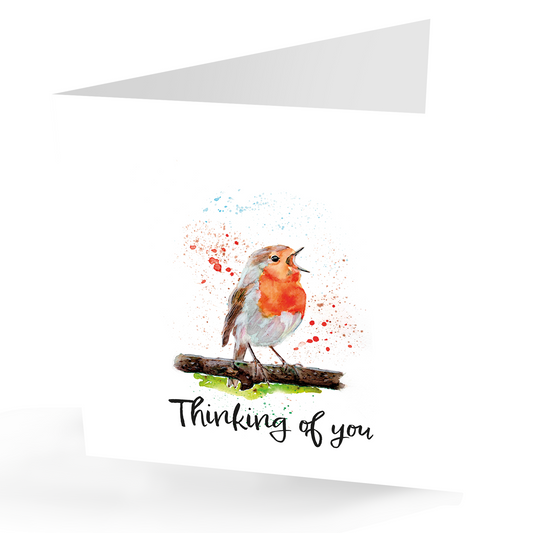 'Thinking of You' Robin Greetings Card.