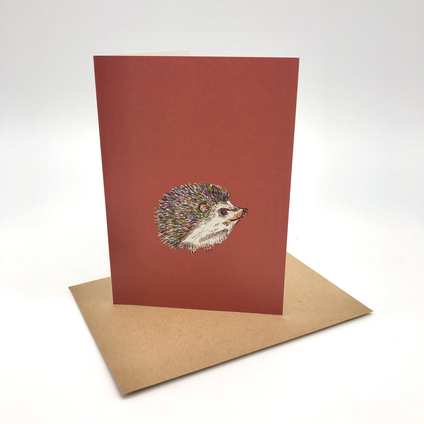 Hedgehog 12 x Greeting Card Eco Gift Set plus wrap