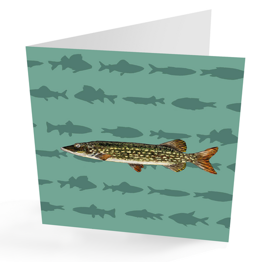 Pike, Any Occasion Fishing Card