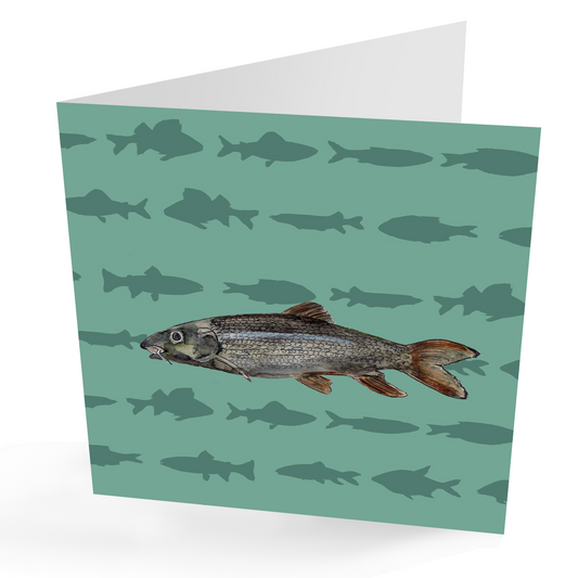 Barbel Any Occasion Fishing Card