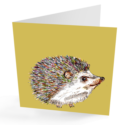 Any Occasion Cute Hedgehog Card