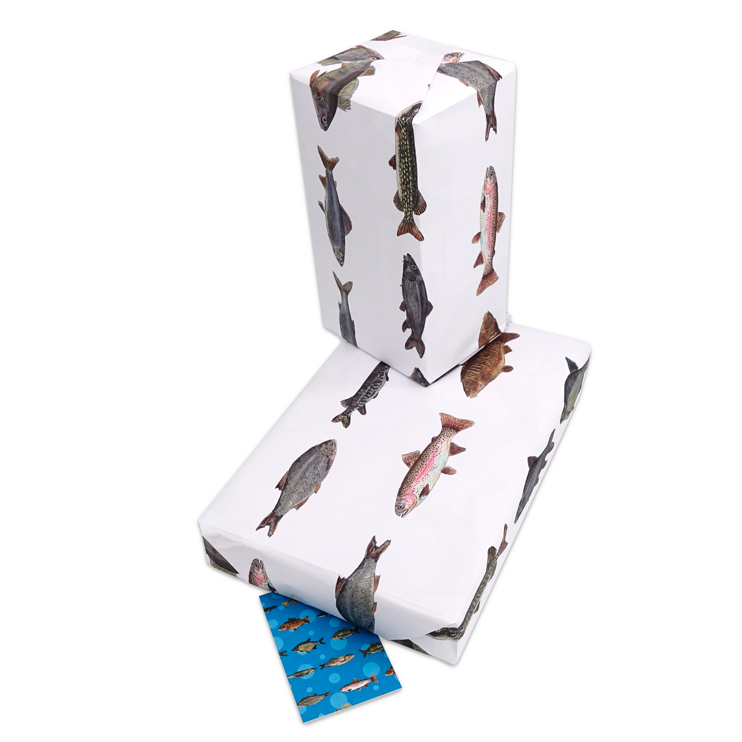 British Freshwater Fish Wrapping Paper and Matching Fish Gift Tag