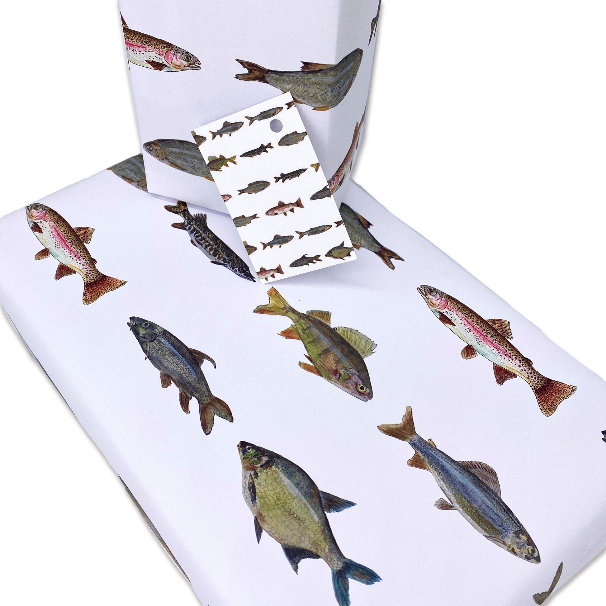 British Freshwater Fish Wrapping Paper and Matching Fish Gift Tag –  PRESENTING PERFECTION