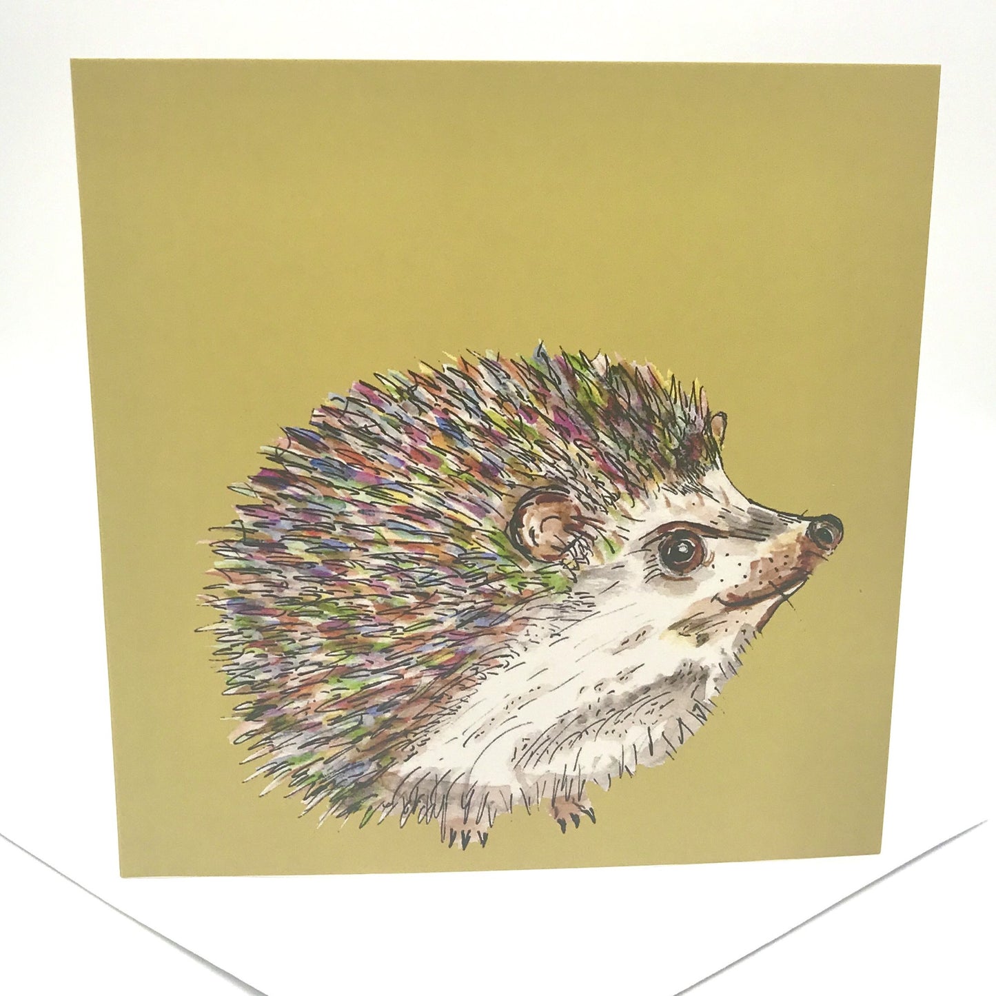Any Occasion Cute Hedgehog Card