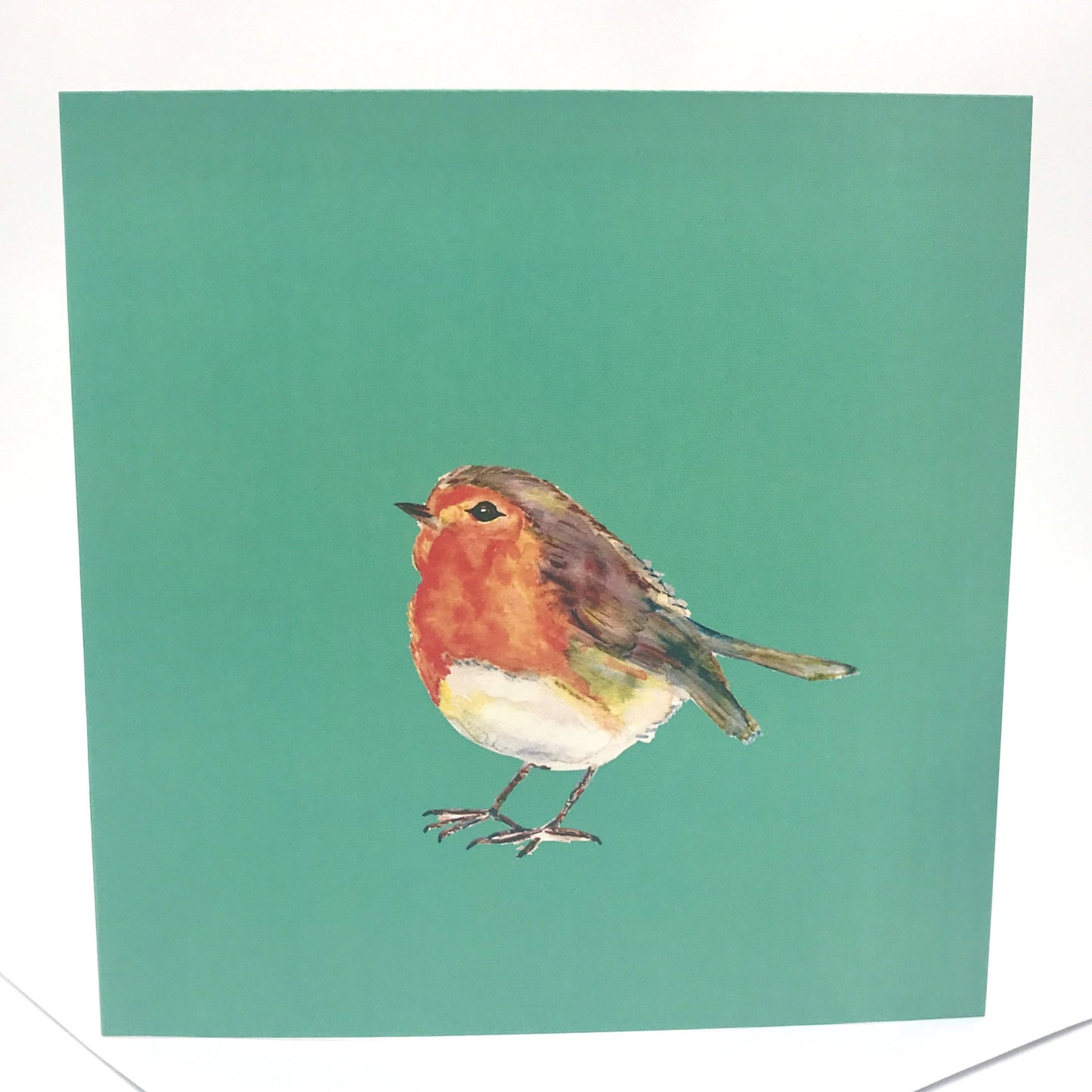Watercolour Robin Any Occasion Card